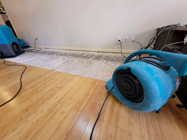 Professional Flood Damage Cleanup technician working in Alcolu, SC